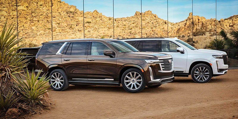 Two white and brown 2020 Cadillac SUVs parked in front of a scenic mountain backdrop.